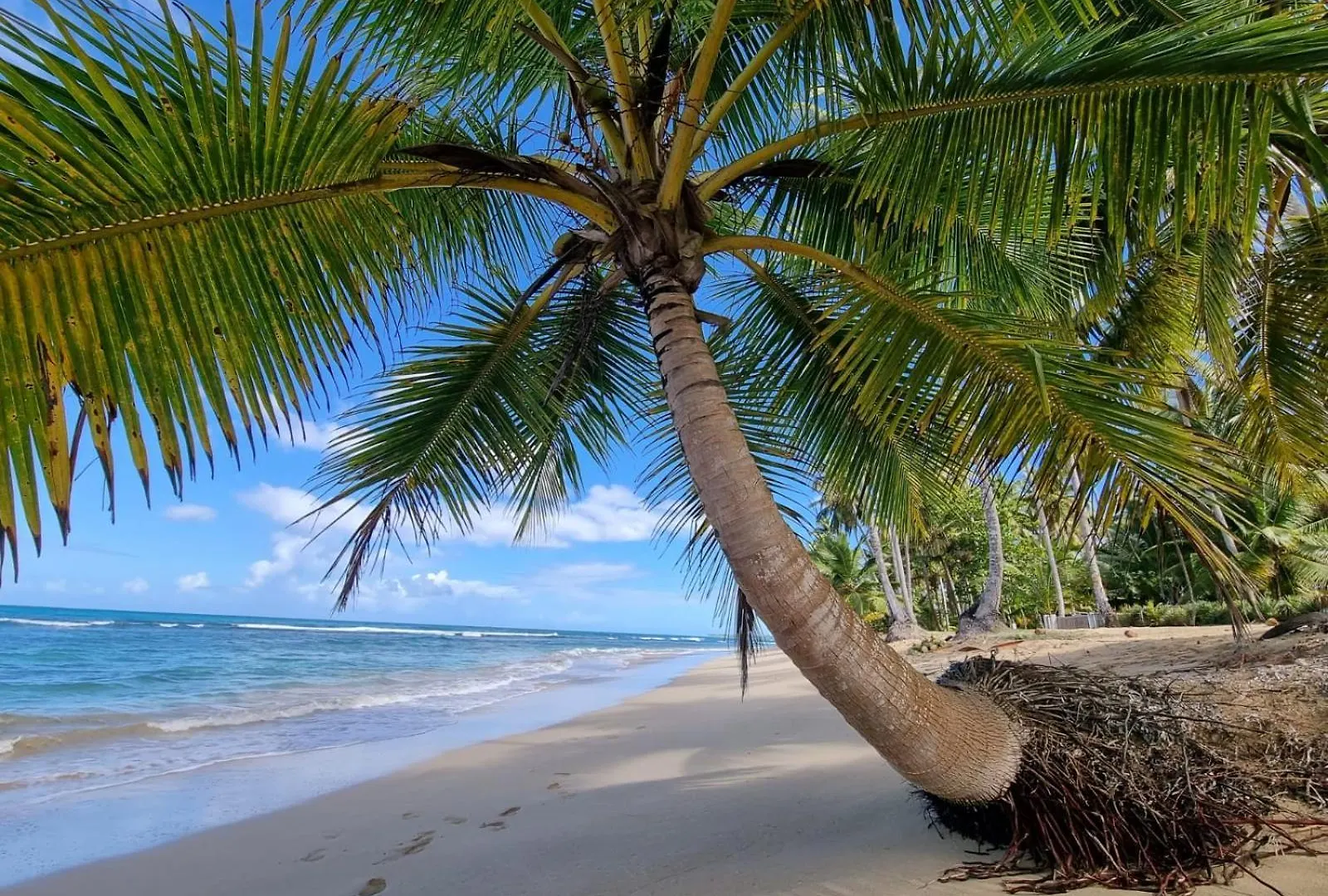Beachfront Villa Tabiki At Playa Coson, Las Terrenas, Dominicana Dominican Republic