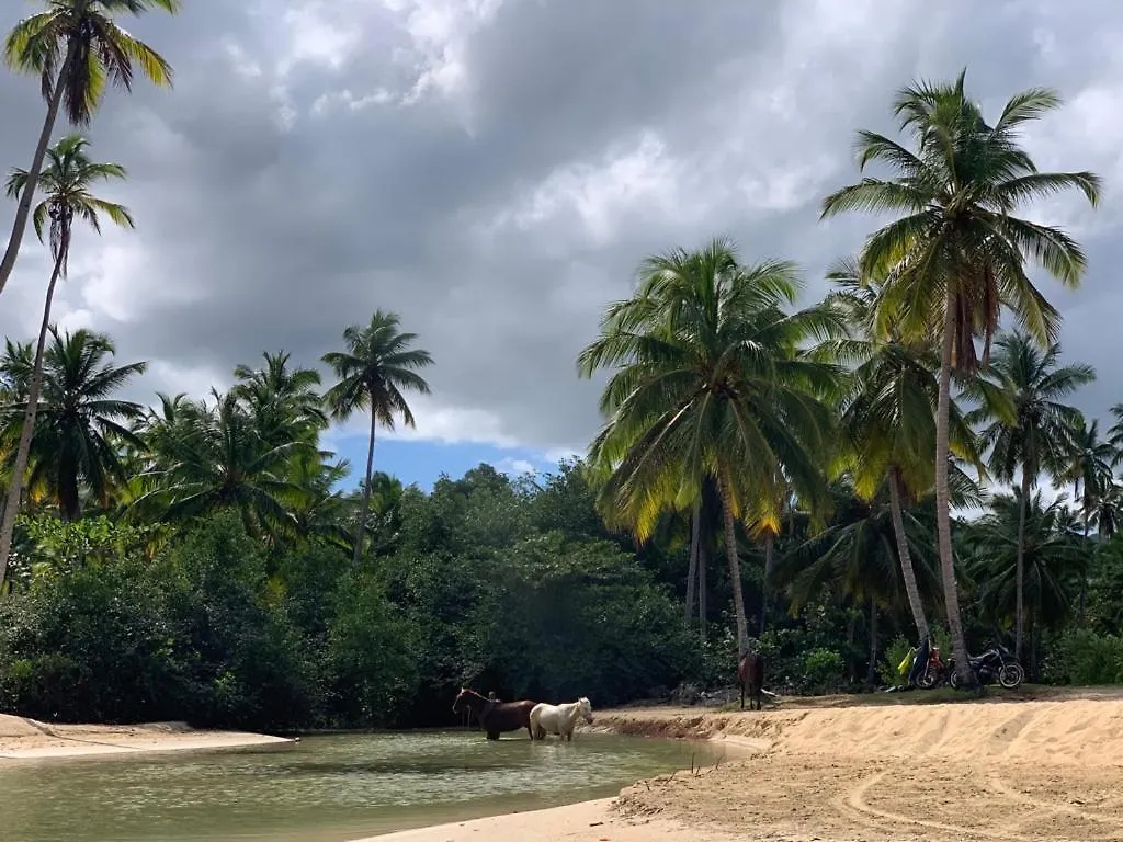 Beachfront Villa Tabiki At Playa Coson, Las Terrenas, Dominicana Dominican Republic